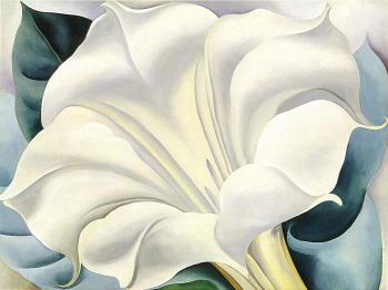 Georgia O Keeffe : White Trumpet Flower